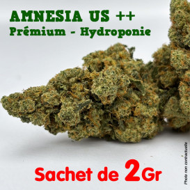 Fleur de CBD - Amnesia US -...